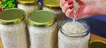 بهترین روش نگهداری از برنج برای حشره نزدن / تا ۲۰ سال برنج را تازه نگهدارید