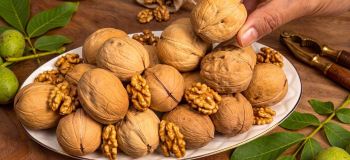طرز تهیه یک پارچ شیر گردوی خانگی فقط با ۳ عدد گردو
