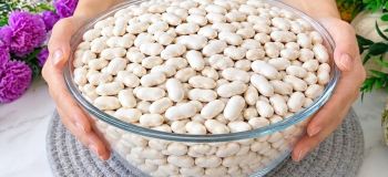 طرز تهیه فاسولیه خوراک لوبیا سفید لعاب دار ترکی
