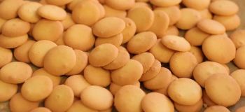 طرز تهیه ۱۱۰ عدد بیسکویت کره ای وانیلی در ۴ دقیقه