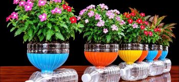 ترفند بازیافت خلاقانه برای آبیاری خودکار گیاهان آپارتمانی