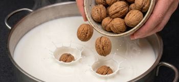 طرز تهیه پنیر گردویی بدون نیاز به مایه پنیر در ۳ ساعت