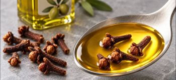 ترفند تسکین فوری درد مفاصل با ترکیب میخک و روغن زیتون