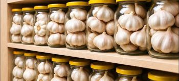 چگونه سیر را برای یک سال کامل بدون خشک شدن یا جوانه زدن نگهداری کنیم؟
