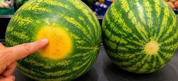 ۵ نشانه طلایی برای انتخاب هندوانه شیرین و رسیده
