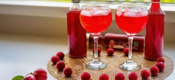 طرز تهیه شربت آلوچه خانگی؛ نوشیدنی خوشمزه و ملس برای روزهای گرم
