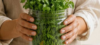 ترفند طلایی: چطور سبزیجات رو ۲ هفته تازه نگه داریم ؟