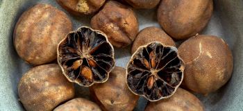 طرز تهیه لیمو عمانی خانگی + خواص لیمو عمانی