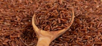 برنج قرمز چیست و چه خواصی دارد؟