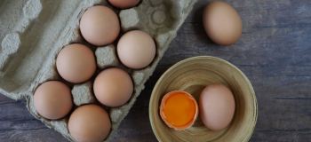 نگهداری تخم مرغ شکسته و ترک خورده