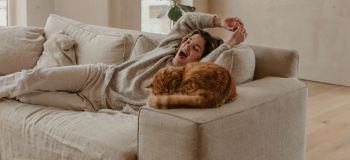 موود (Mood) یعنی چه و چه کاربردی دارد؟