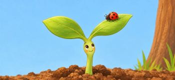 قصه کوتاه تصویری دانه کوچک و آرزوی درخت شدن برای کودکان