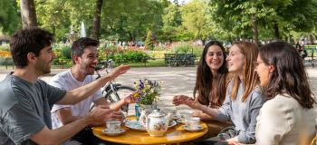 اصطلاح Tea یعنی چه؟ معنی کوتاه و کاربرد