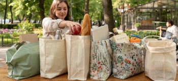 انواع توت بگ: راهنمای کامل جنس، ساختار و کاربرد