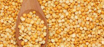آشنایی با کالری، ارزش غذایی و خواص لپه