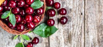 کالری، ارزش غذایی و خواص شگفت انگیز آلبالو