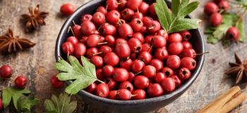 معرفی کالری و ارزش غذایی کویج
