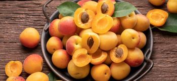 کالری زردآلو : ۱۰۰ گرم زردآلو چقدر کالری دارد ؟