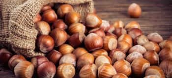 با کالری و ارزش غذایی فندق آشنا شوید !