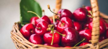 کالری، ارزش غذایی و خواص فوق العاده گیلاس