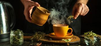 معرفی بهترین دمنوش ها برای چربی خون؛ کدام گیاه واقعاً مؤثر است؟