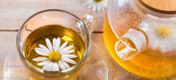 طرز تهیه دمنوش بابونه؛ راهنمای کامل برای یک نوشیدنی آرام بخش