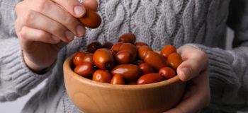 خواص عناب برای لاغری و کاهش وزن | آیا عناب واقعاً لاغر می کند؟