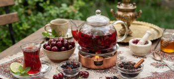 چای آلبالو چگونه درست کنیم؟ طرز تهیه چای آلبالو تازه و خشک + فوت وفن خوش رنگ شدن