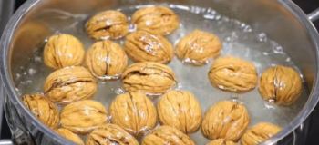 جوشاندن گردو در آب جوش؛ ترفندی ساده برای شکستن گردوهای پوست سخت