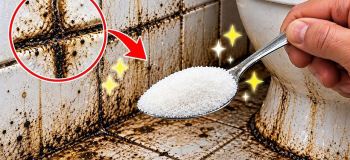 روش خانگی از بین بردن کپک بندکشی حمام با وایتکس