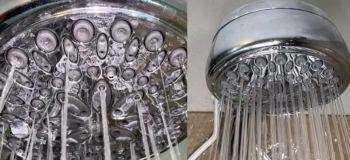 چگونه سردوش حمام را با سرکه تمیز کنیم؟ راهنمای رفع رسوب و افزایش فشار آب