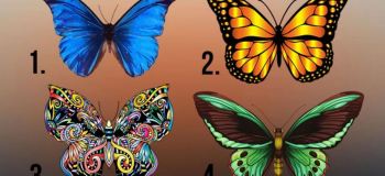 اولین پروانه ای که انتخاب می کنید، راز شخصیت پنهان شما را فاش می کند!