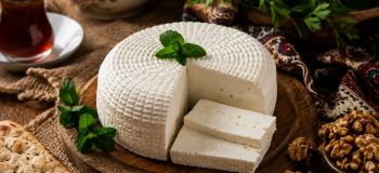 طرز تهیه پنیر خانگی با ماست؛ پنیر نرم، خوش طعم و بدون مواد نگهدارنده