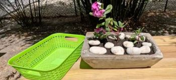 تبدیل سبد پلاستیکی ساده به گلدان سیمانی شیک؛ یک کاردستی ارزان و جذاب برای خانه و باغچه