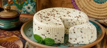 طرز تهیه پنیر خانگی با شیر و دانه کتان؛ آب پنیر را دور نریزید، این طلای مایع را استفاده کنید!