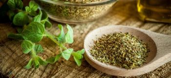 همه چیز درباره ادویه اورگانو؛ پودر اورگانو در چه غذاهایی استفاده می شود؟