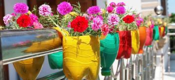 با بطری های پلاستیکی دورریختنی، یک مجموعه گلدان زیبا و رنگارنگ بسازید!