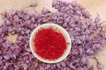 زعفران ارگانیک چیست ؟ طلای سرخ با خواص درمانی شگفت انگیز