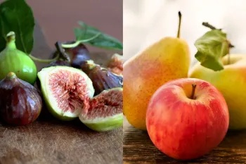 میوه های روان کننده شکم / بهترین دوستان سیستم گوارشی شما