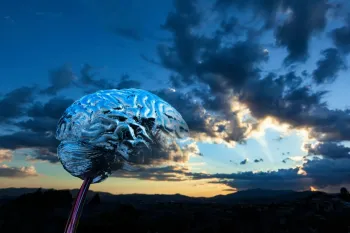 آیا مغز انسان می تواند همه چیز را پیش بینی کند؟