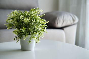 گل طبیعی یا مصنوعی؟ کدام برای هدیه دادن بهتر است ؟