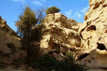 تنگه عالی محمد؛ شاهکار پنهان طبیعت در قلب خلیج فارس