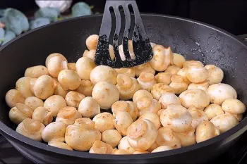 دستور پخت قارچ ساده ۵ دقیقه ای! من تا حالا همچین قارچ خوشمزه ای نخورده بودم