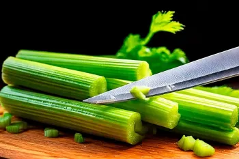 سالاد سبزیجات خوشمزه با کرفس تازه و سینه مرغ