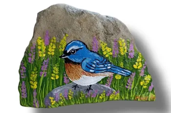 نحوه نقاشی یک پرنده روی سنگ: آموزش گام به گام آسان برای مبتدیان