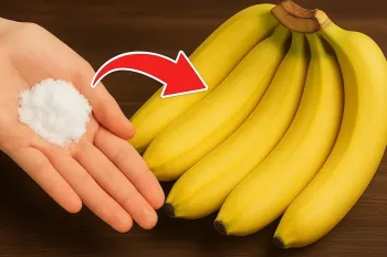 نگهداری موز برای مدت طولانی / موز را تا سال سالم وبدون له شدگی نگهداری کن
