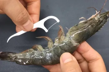 ترفند 3 ثانیه ای برای تمیز کردن میگو با خلال دندان!