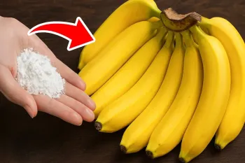 روش طبیعی برای نگهداری از موز بدون له شدن و سیاه شدن / تا ماهها موز سالم میماند