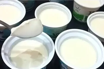 طرز تیه ماست سفت قالبی در ۳۰ دقیقه / غلیظ و خامه ای و خوشمزه
