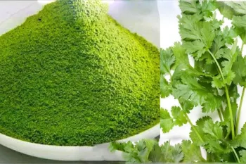 نحوه خشک کردن سبزی / سبزی را با رنگ روشن و عطر ماندگار خشک کنید